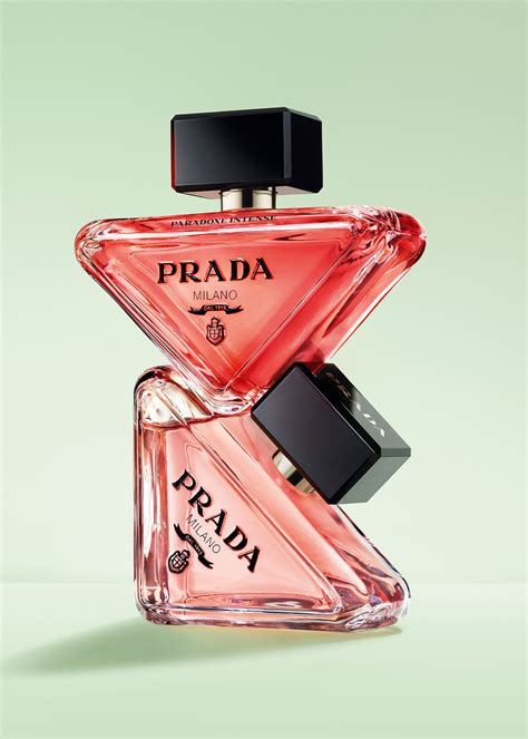 prada paradoxe notaları|prada paradoxe echo.